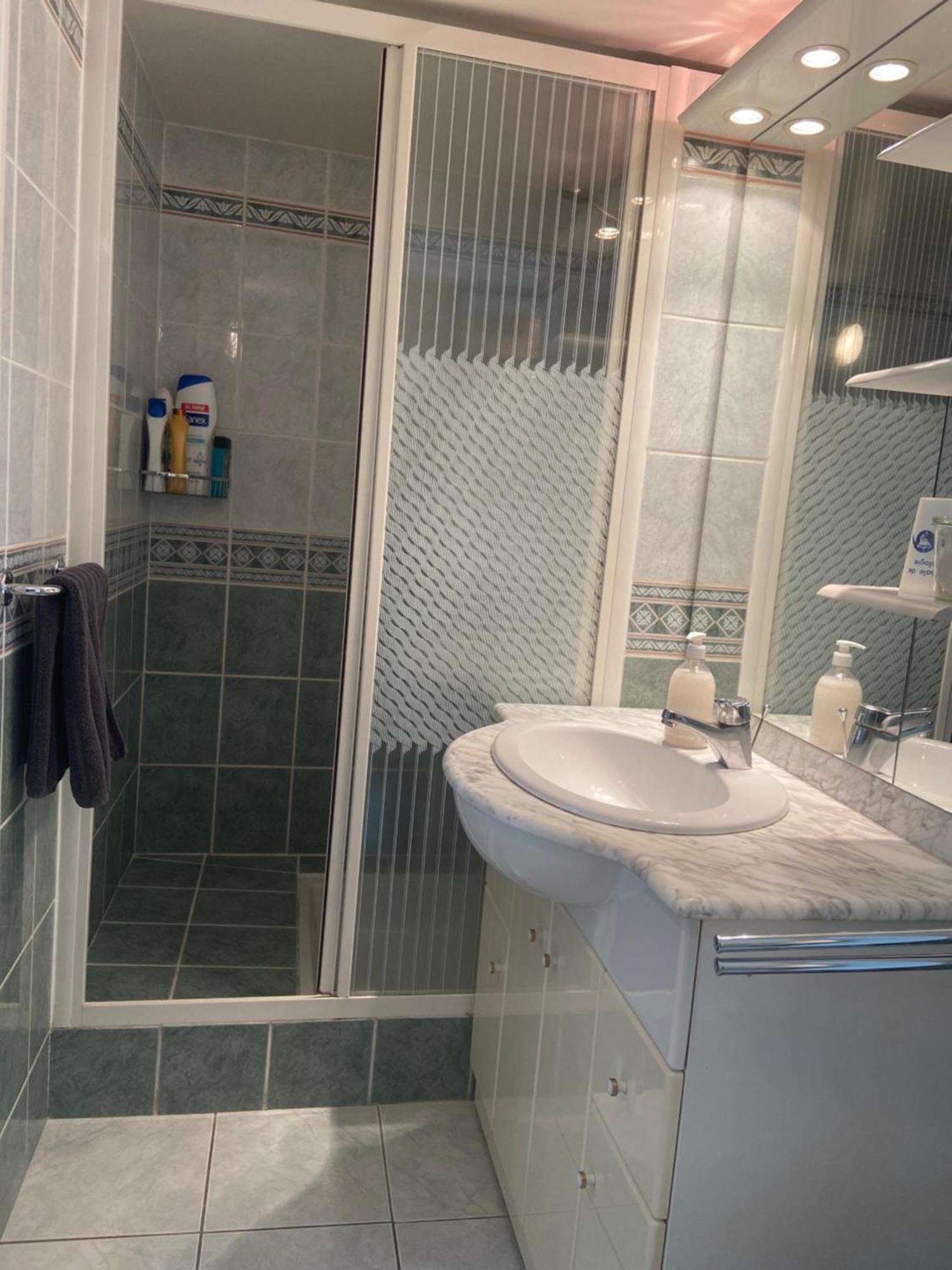 Sweet Home - 55M2 Appartment, Garden, Swimming Pool, Parking Toulouse Exterior foto